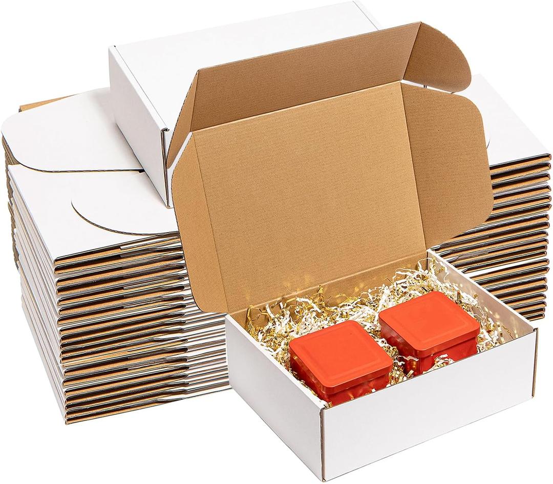 Shipping Boxes 12x9x4 Inches 25 Pack Corrugated Cardboard Mailing Boxes for Small Business - Medium White Literature Mailer Packaging Supplies
