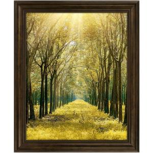 Space Art Deco, 16x20 Ornate Picture Frame Without Mat for 16x20 Photo,Shatter-Resistant Glass Sawtooth Hangers Wall Mount Display(Color Brown)