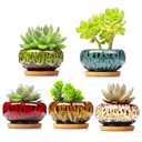 LamDawn Cute Ceramic Succulent Garden Pots, Planter with Drainage and Attached Saucer, Set of 5 - Plants Not Included (Vivid Colors)