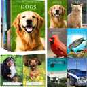 6 Pack Picture Book Set for Seniors with Dementia, Activities for Elderly Seniors, Provide Products for Alzheimer's Patients and Adults, Brain Exercise, Increased Communication