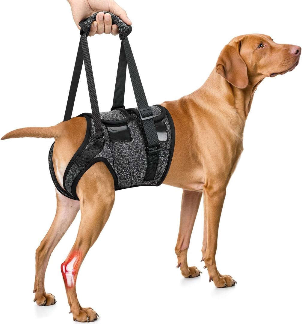 SlowTon Dog Lift Harness - Adjustable Dog Sling for Medium Large Dogs, Hind Leg Support to Help Rehabilitate, Soft Padded Dog Support Harness for Elderly, Injured, Arthritic, Disabled Dogs, L (Large(Waist:22.5''-28''), Grey)