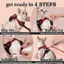 rabbitgoo Cat Harness and Leash for Walking, Escape Proof Soft Adjustable Vest Harnesses for Cats, Easy Control Breathable Reflective Strips Jacket, Black & Red, Medium
