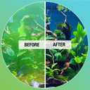 MICROBE-LIFT Algaway 5.4 Algae Remover for Aquariums, Algaecide for Freshwater and Saltwater Tanks, Aquarium Algae Control and Fish Tank Cleaner, Safe for Fish and Plants, 8 Ounces