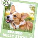 Nature Gnaws Braided Bully Sticks for Dogs 5-6" (10 Count) - Long Lasting for Small and Medium Dogs - Natural Beef Dog Chew Bones - Rawhide Free (EXP 08/01/25)