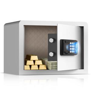 AEGIS Small Biometric Safe with Fingerprint Lock (9.9"D x 13.8"W x 9.9"H), Smart Digital Safe Box with Silent Mode, Backlit Keypad and LED Light for Home Office Dorm