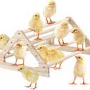 Wooden Chick Perch Stand, Pine Chicks Roosting Bar, Jungle Gym Perch Toys for Chicken Coop & Brooder, Bird Perch for Baby Chicks & Parrots (Large)
