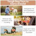 Dog Chew Toys for Aggressive Chewers - 2 Pack Indestructible Teeth Cleaning Chew Toys to Keep Them Busy for Medium & Large Dogs