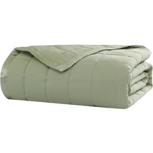 Beatrice Home Fashions Down Alternative Solid Color Blanket, Full/Queen, Sage