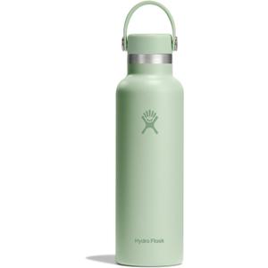 Hydro Flask Water Bottle - Insulated Stainless Steel - Non Spill, Leakproof in 21 Oz Aloe Green