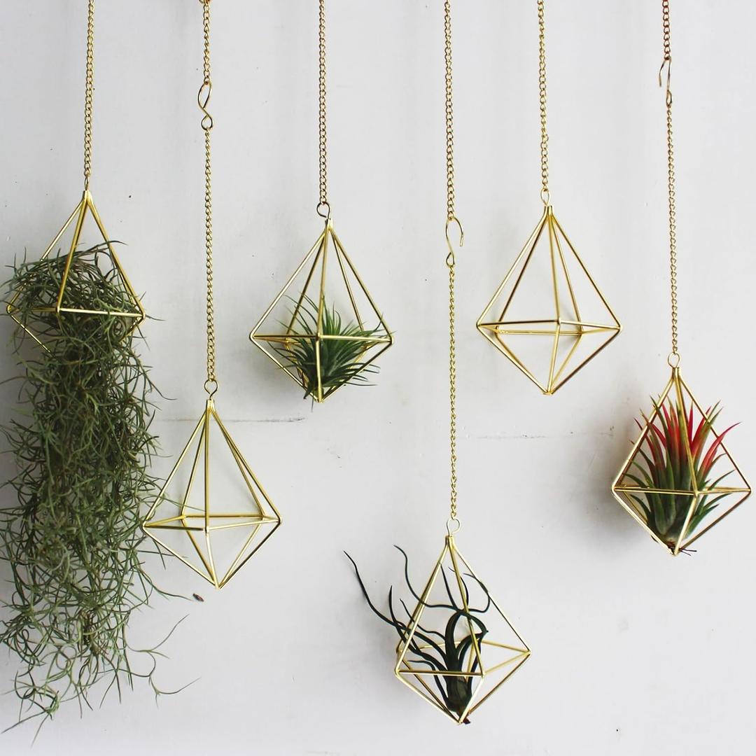 Air Plants Live Holders 6 Pcs Glod Diamond Hanging Planter Small Air Plant Holders Unique with Chains Air Ferns Tillandsia Display for Indoor (B-6pcs-gold)