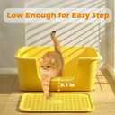 Cat Litter Box with High Sides for Indoor Cats,Low Entry Open Top Cat Litter Pan for Kittens & Senior Cats,High Wall Easy Cleaning Anti-Splashing cat Litter Tray (Grey)