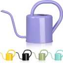 Watering Can, Stainless Steel Watering Can for Indoor & Outdoor Plants, 1L/35oz Long Spout Water Can with Handle, Rust-Proof Plant Watering Pot for House Plants, Garden Flowers