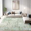Abstract Rug 5x7 Machine Washable Area Indoor Green Low Pile Non-Slip Foldable Thin Accent Rugs for Bedroom Living Room Dining Room