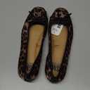 SM (Steve Madden) Leopard Print Ballerina Flats with Bow, Size 8