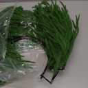 Christmas Wreaths for Front Door 24 Inch Norfolk Pine Wreath for All Seasons Artificial Green Wreath Holiday Decoration for Indoor Outdoor Home Decor