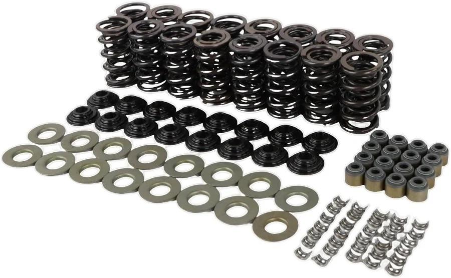 NEXAGEBIUS 660" BTR Brian Tooley Racing LS Dual Valve Spring Kit with Steel Retainers SK001 SK001S Compatible with LS1 LS2 LS3 LS4 LS6 L76 L92 L99 LQ4 LQ9 L33 LSA 4.8L 5.3L 5.7L 6.0L 6.2L
