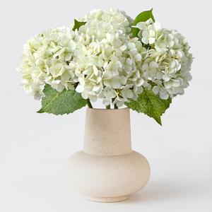 ZYTUYO 20 inches 4 Pcs Ivory White Real Touch Hydrangea Artificial Flowers Boho Lifelike Real Looking Latex Hydrangeas Flower with Long Stem for Home Decor Spring Table Centrepiece