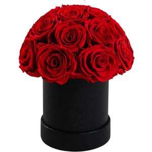 18 Preserved Flowers for Delivery Prime, Roses Dome Forever Flower Decor for Party Home Table Bedroom, Anniversary, Birthday, Wedding Gifts for Women Her (Red)