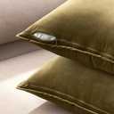 MIULEE Olive Green Velvet Throw Pillow Covers 24x24 Soft Decorative Solid Square Euro Sham Cushion Cases Pack of 2 Modern Luxury Home Decor for Couch, Sofa, Bedroom