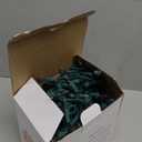 Clear Christmas Lights 50FT 200 Incandescent Bulbs Warm White Mini Lights with Green Wire for Christmas Tree, Garland, Thanksgiving, Wedding, Party, Home, Indoor & Outdoor Festival Decoration