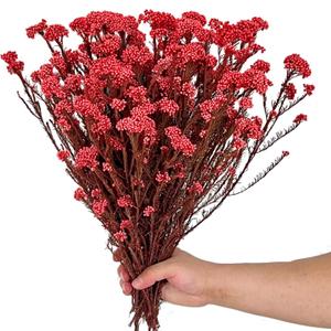 17 Inches Natural Dried Millet Flower Bouquet for Decor, 22-25 Stems Home and Wedding Decoration (Red)