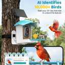 Bird Feeder with Camera Solar Powered: Smart Bird Feeders for Outdoors Garden with AI Identify Auto Capture 2K HD Bird House with Camera Outside WiFi Live View Birdfeeder Cam Gift for Birds Lover