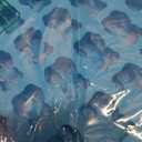 LUSHYUM Large Gummy Bear Molds 5 ML, BPA-FREE Silicone Chocolate Candy Gummy Molds with 4 Droppers and Cleaning Brush 140 Cavity, Set of 4