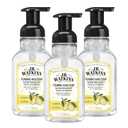 J.R. Watkins Foaming Hand Soap with Pump Dispenser, Moisturizing Foam Hand Wash, Alcohol-Free, Cruelty-Free, Lemon, 9 fl oz, 3 Pack