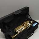 Bb Standard Trumpet Set for Beginner or Advanced Student, Brass Student Trumpet Instrument with Hard Case, Cleaning Kit, 7C Mouthpiece and Gloves (Gold)