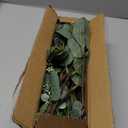 Winlyn 20 Pcs Mixed Artificial Oval Eucalyptus Leaves Bulk with White Seeds Stems and Spray for Vase Floral Wreath Bouquets Wedding Greenery Decoration