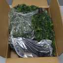 3Ft Artificial Cedar Topiary Trees (2-Pack) - UV Resistant Fake Shrubs with Ground Spike for Outdoor & Indoor Use, Front Porch, Garden Decor