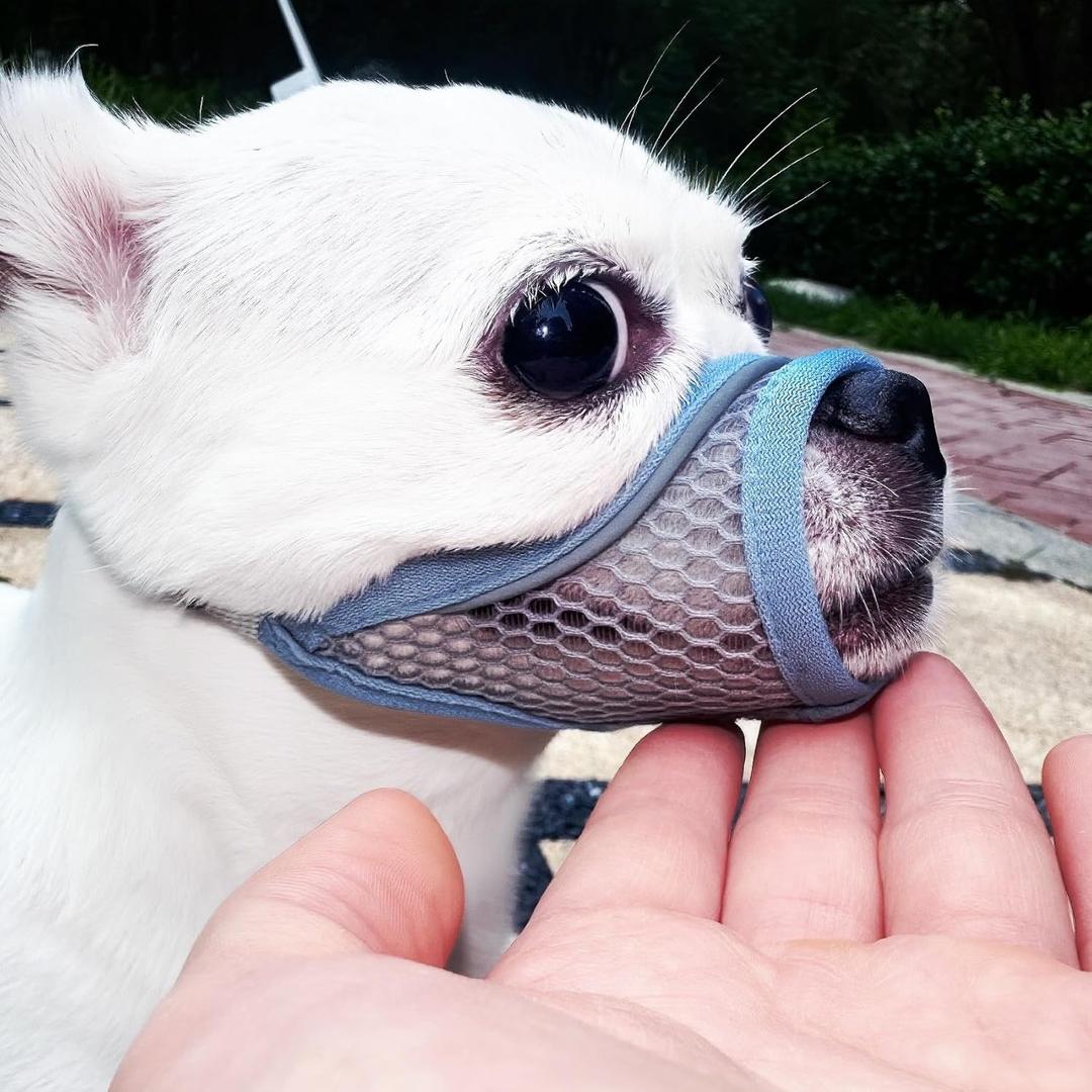 Dog Muzzle for Small Medium Dogs to Prevent Biting for Short Snout Dogs,Maltese,Miniature Schnauzer,Jack Russel Terrier,Soft Breathable Lightweight Mesh,Open Front for Grooming Vet Visits (Blue, S-) (S-Snout (6.1"- 6.5"))