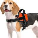 rabbitgoo Dog Harness Medium Sized, Easy On Pet Vest with One Buckle, No Pull Adjustable Service Harness with D-Ring & Handle, Reflective for Safety Walking, Training, Blue, M