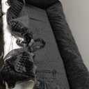 Dog Car Seat for Medium/Large Dogs Under 100 Lbs,Multi-Functional Dog Car Bed Washable Pet Travel Safety with Thick Cushion, Soft & Removable,for All Cars Back Seat (Black)