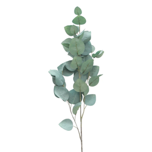 Silver Dollar Eucalyptus Single Leaf