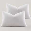 Carpenter White Pillows Mictofiber Twin Pack of 2