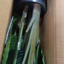 Lifelike Bird of Paradise Artificial Plant 4ft Faux Banana Leaf Tree with 9 Trunks for Home Decor - Perfect Indoor Silk Floor Plant for Living Room, Office, and Bedroom Ambiance Enhancement
