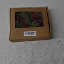 Ling's moment Artificial Flowers Burgundy Rose Buds and Small Roses w/Stem for DIY Wedding Bouquets Centerpieces Arrangements Party Baby Shower Home Decorations