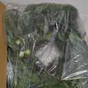 12 FT Real Touch Norfolk Pine Garland, Cedar Garland Realistic, Christmas Garland with Lights for Mantle Table Staires Railing Indoor Outdoor Christmas Decor