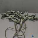 SHACOS 3 PCS 28 inch Artificial Olive Branches for Vases Greenery Olive Stems Faux Tree Branch Twig for Home Wedding Shop Office Garden Decor DIY Floral Crafts