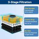 Stainless Steel Pond Filter Box with 3-Stage Filtration, Includes Filter Sponges, Ceramic Rings & Bio-Balls, Fish Pond Filter for Outdoor Ponds, Garden, Waterfall, Fountain & Water Feature