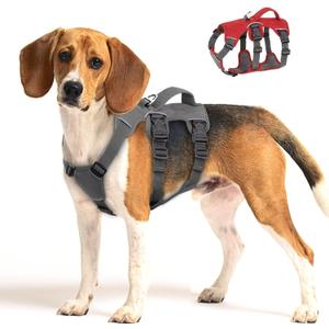 Beirui Escape Proof Dog Harness - Reflective No Pull with Padded Handle, Waterproof for Daily Walking & Training (Gray, Chest 13-27'')