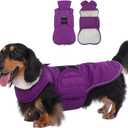 LeLePet Dachshund Coat - Warm, Waterproof Winter Jacket with Reflective Strips & Fleece Lining for Mini & Standard Dachshunds, Adjustable Hook & Loop, Purple (Large)