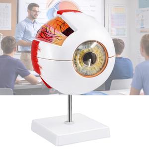 Eye Anatomy Model, 6X Enlarged Eyeball Model, Human Eye Anatomical Model for Science Education Students Study Display Medical Teaching, with Removable Stand