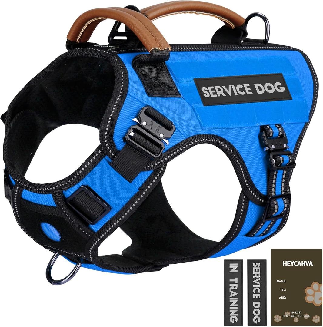 Service Dog Vest - HEYCAHVA Tactical Dog Harness Full Metal Buckles Dog Vest for Large Medium Dog Reflective No Pull Dog Harnesses with Leather Handle, Hook & Loop for Hiking Training (Blue, XL)