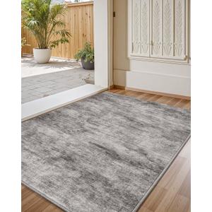 Color&Geometry Thin Indoor Door Mat with Non Slip TPE Backing, 32"x48", Low Profile Front Door Mat, Washable Entry Rugs Mats for Inside Entryway, Hallway, Easy to Clean, Ash Vein
