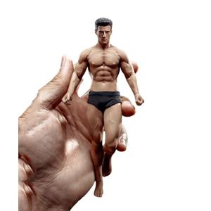 Fremego 1/12 Scale Male Action Figure,6inch Male Super-Flexible Seamless Action Figure Body Doll Collection(TM01A Normal Version)