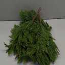 12 Pcs Real Touch Norfolk Pine Branch  18" Artificial Christmas Green Plants Branches, Faux Greenery Pine Stems Fake Cedar Picks for Vase DIY Crafts, Christmas Picks Indoor Home Decor