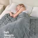 Mr. Sandman Weighted Blanket for Adults Queen Size 15 lbs, Soft Cooling Heavy Minky Blanket for Sleep, Washable Throw Blanket with Glass Beads, 60 x 80 Inches, Grey