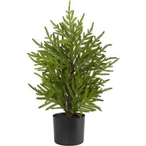 Nearly Natural 2ft. Norfolk Island Pine Natural Look Artificial Tree in Decorative Planter (Green)